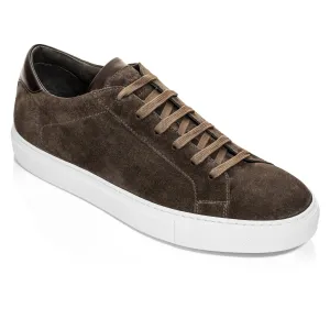 Alpha Dark Brown Suede Sneaker