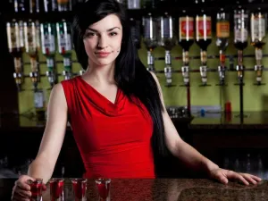 Bartender Training School Business Plan