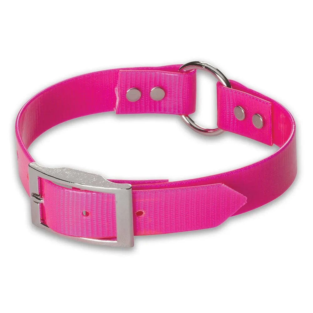 Nite Lite 1" Day-Glo Collar Ring-N-Center