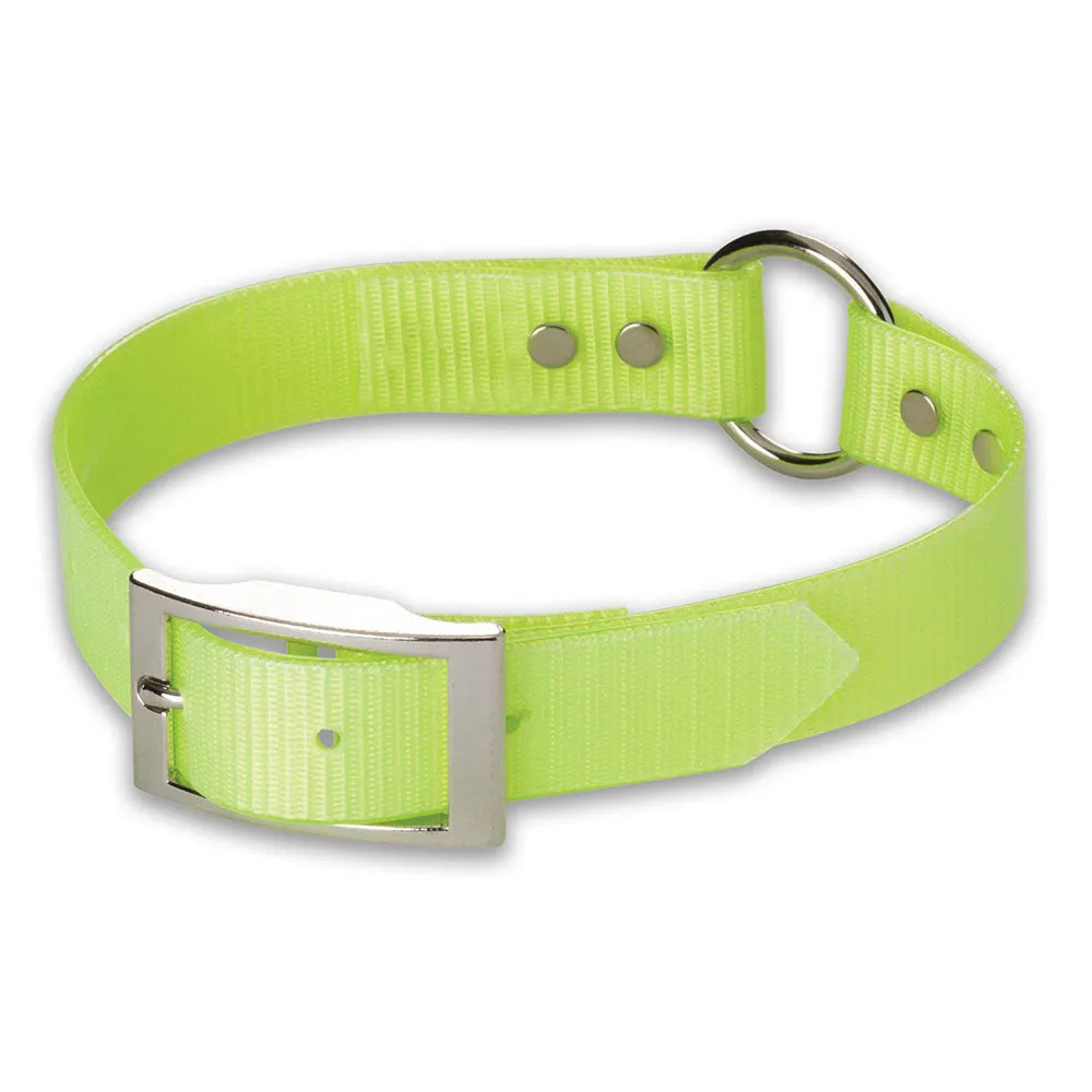 Nite Lite 1" Day-Glo Collar Ring-N-Center