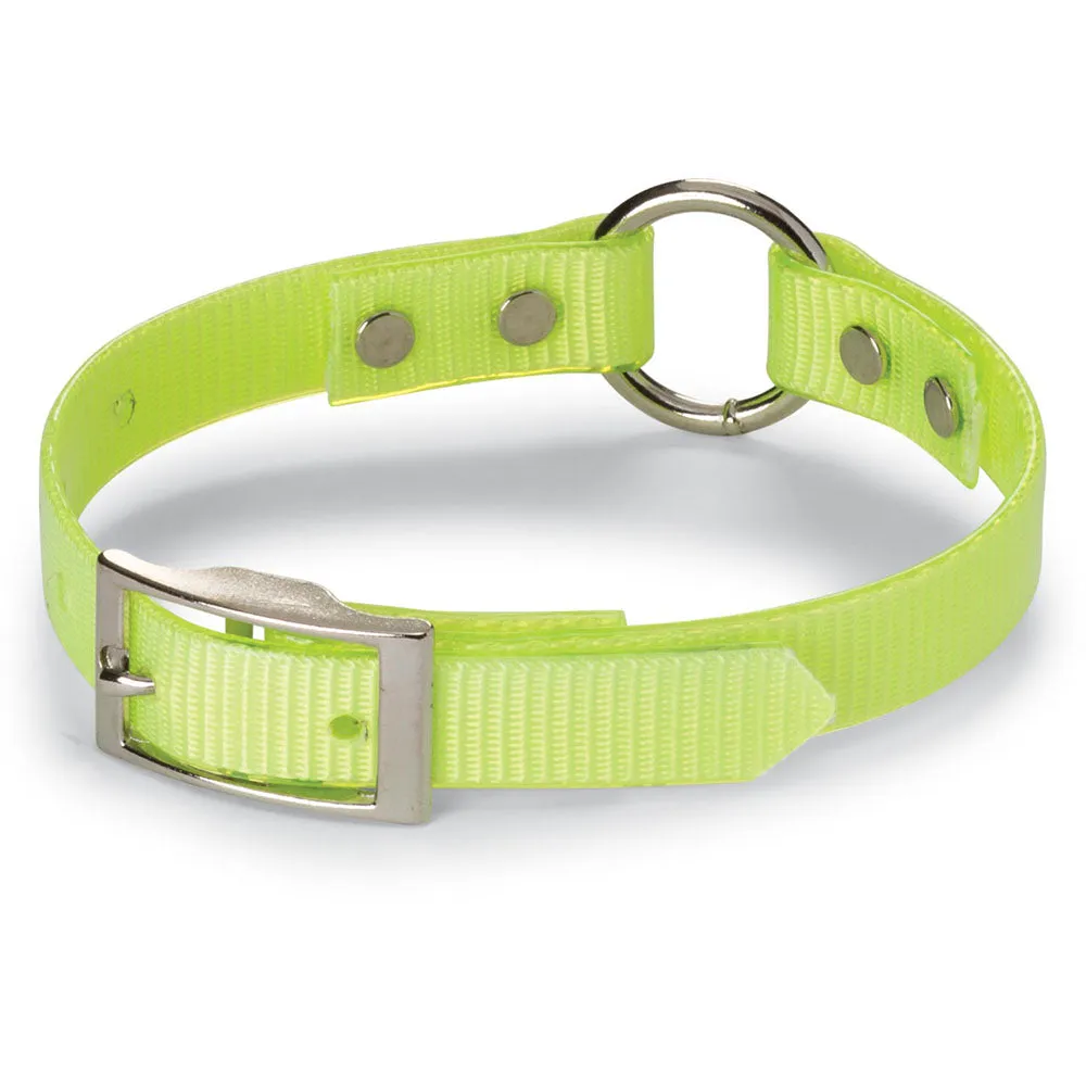 Nite Lite 3/4" Day-Glo Collar Ring-N-Center