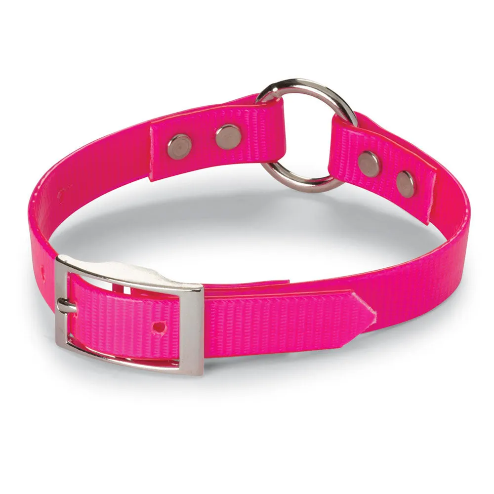 Nite Lite 3/4" Day-Glo Collar Ring-N-Center