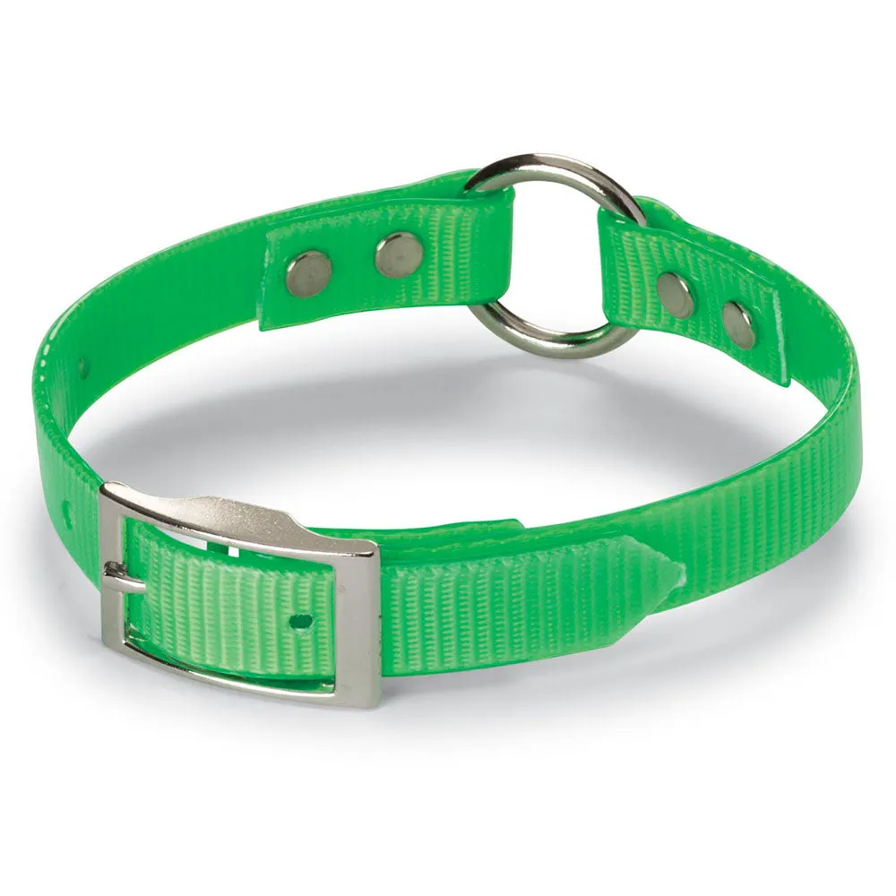 Nite Lite 3/4" Day-Glo Collar Ring-N-Center