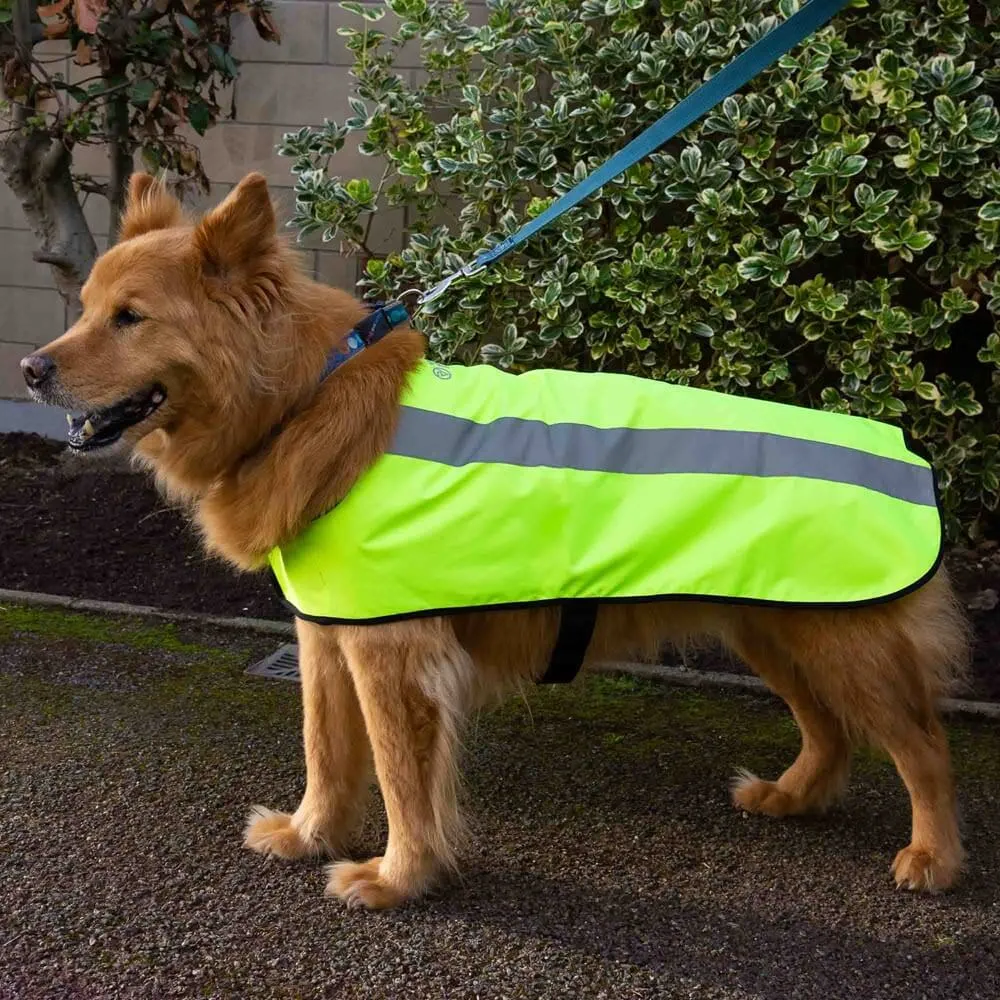 Proviz Classic Hi Viz Waterproof Dog Jacket