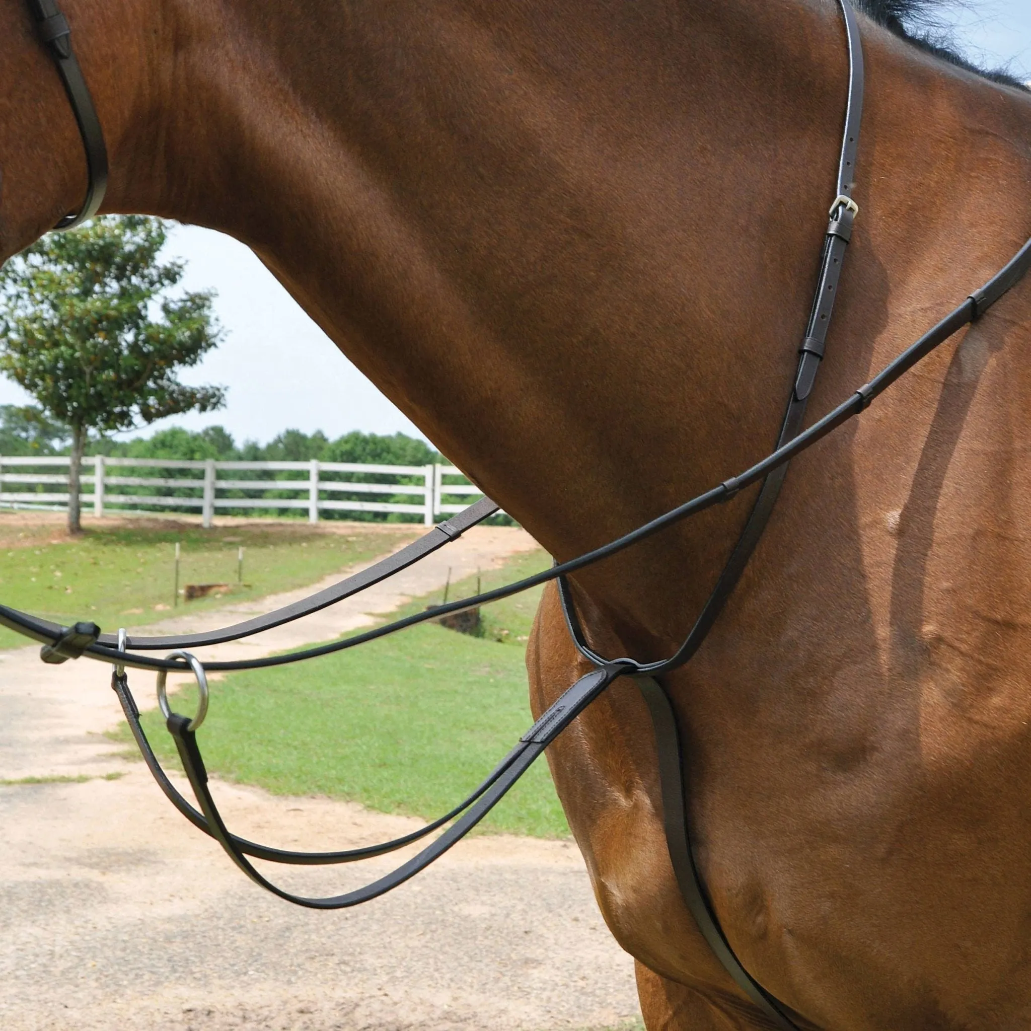 Uniquely English Running Martingale