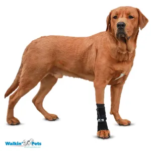 Walkin Wheels® - Front No-Knuckling Training Sock